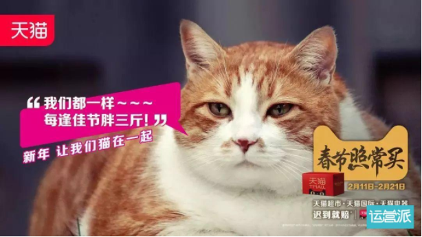 运营之道：“猫咪营销”，得猫者得天下